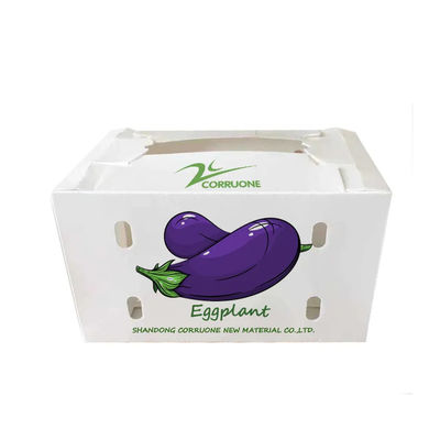 Scatola per ortaggi in polipropilene coroplastico personalizzata scatola di imballaggio in plastica corrugata in PP