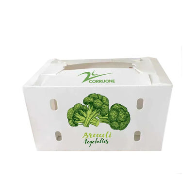 Scatola per ortaggi in polipropilene coroplastico personalizzata scatola di imballaggio in plastica corrugata in PP