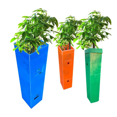 Protezione per alberi in polipropilene corflute Protezione per viti in plastica ondulata