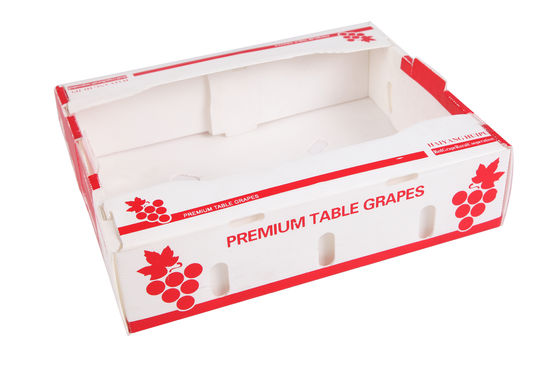 Scatola di imballaggio per ortaggi in polipropilene in plastica corrugata in PP personalizzata