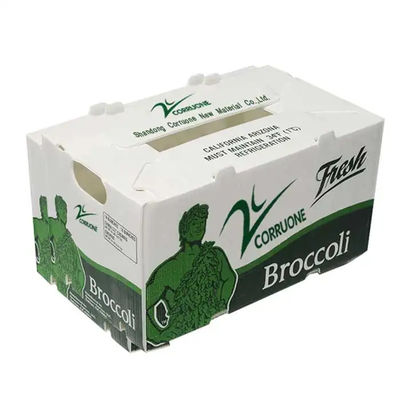 Scatola di imballaggio per ortaggi in polipropilene in plastica corrugata in PP personalizzata