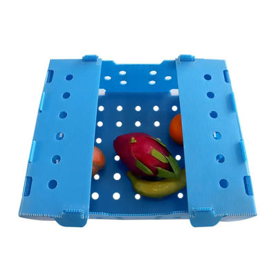 Scatola di plastica corrugata in PP Scatola di imballaggio per frutta a corvo personalizzata riciclabile