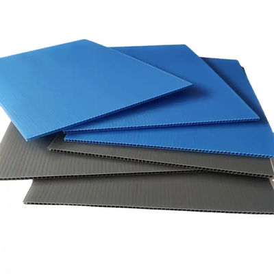 PP cartone di plastica ondulato Corflute Roll personalizzato protettivo riciclabile