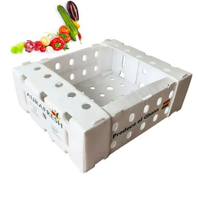 Scatola di plastica corrugata in PP Scatola di imballaggio di frutta in coroplastico personalizzata riciclabile pieghevole