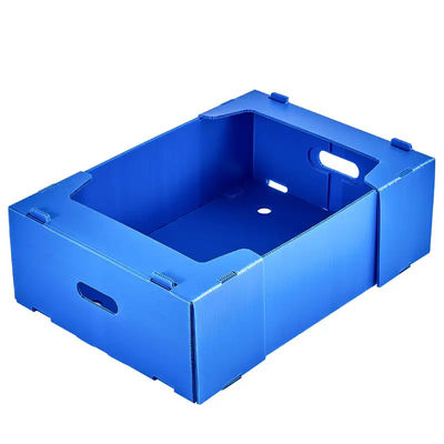 Scatola di plastica corrugata in PP Scatola di imballaggio di frutta in coroplastico personalizzata riciclabile pieghevole