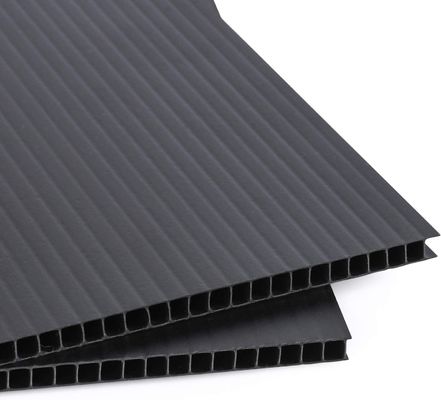 PP cartone di plastica ondulato Corflute Roll personalizzato protettivo riciclabile
