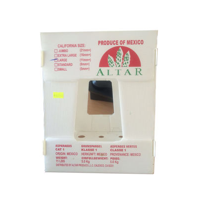 Scatola di imballaggio per ortaggi in polipropilene, scatola di plastica corrugata in PP, personalizzata, riciclabile