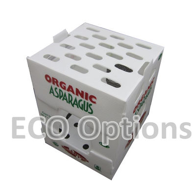 Riciclaggio PP scatola di plastica corrugata scatola di imballaggio in coroplastico customisato ECO pieghevole