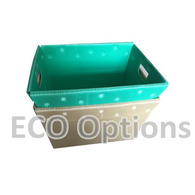 Riciclaggio PP scatola di plastica corrugata scatola di imballaggio in coroplastico customisato ECO pieghevole
