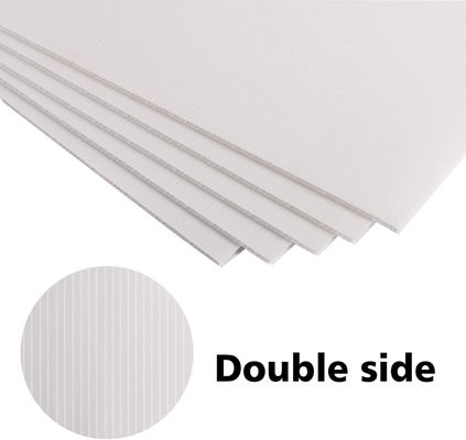 Libera il Potenziale del Foglio in PP Coroplast nel Tuo Packaging e nella Tua Pubblicità