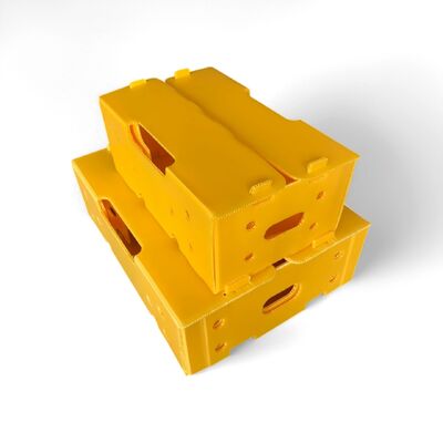 Scatola di cartone vuoto in PP leggera e resistente agli urti, realizzata in materiale riciclabile, resistente, riutilizzabile e ideale per soluzioni di imballaggio ecologiche.