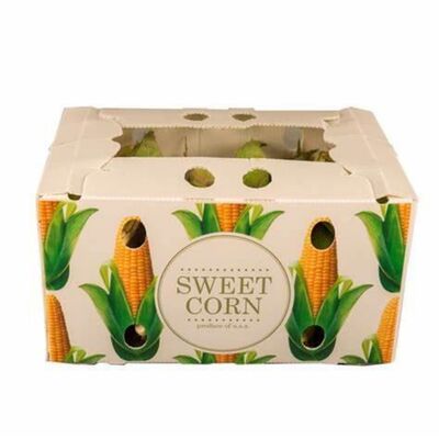 scatola di imballaggio per ortaggi e frutta con resistenza al ripiegamento, resistenza all'invecchiamento, resistenza al carico, resistenza alla trazione, compressione, strappo, alta temperatura, caratteristiche colorate