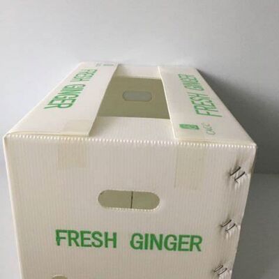 scatola di imballaggio per ortaggi e frutta con resistenza al ripiegamento, resistenza all'invecchiamento, resistenza al carico, resistenza alla trazione, compressione, strappo, alta temperatura, caratteristiche colorate